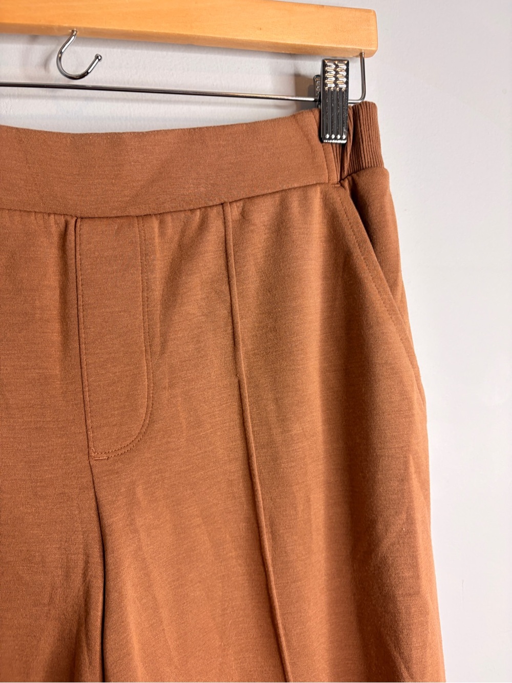Aerie Pleated Wide-Leg High-Rise Pants in Rust Brown Medium